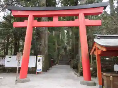 箱根神社の鳥居