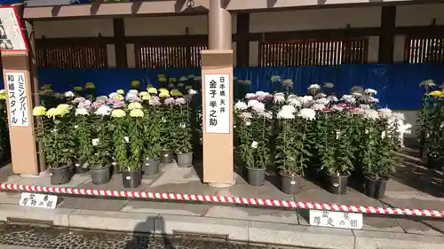 湯島天満宮の芸術