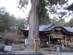 北口本宮冨士浅間神社の自然