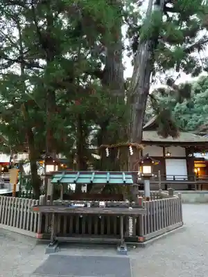 大神神社(奈良県)