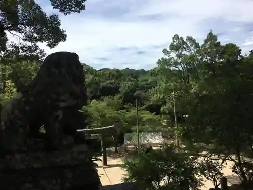 四阿屋神社の狛犬