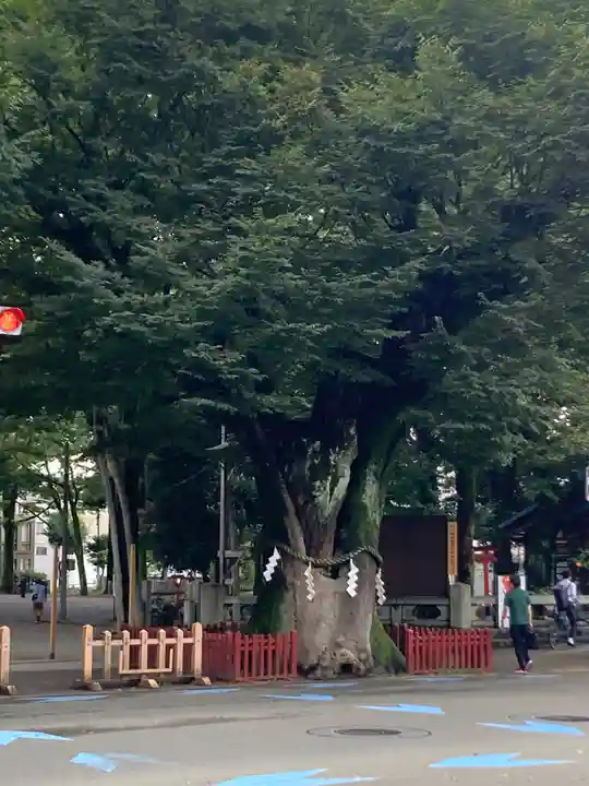 大國魂神社(東京都)
