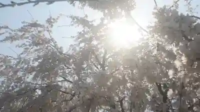足羽神社(福井県)
