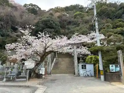 忌部神社の鳥居
