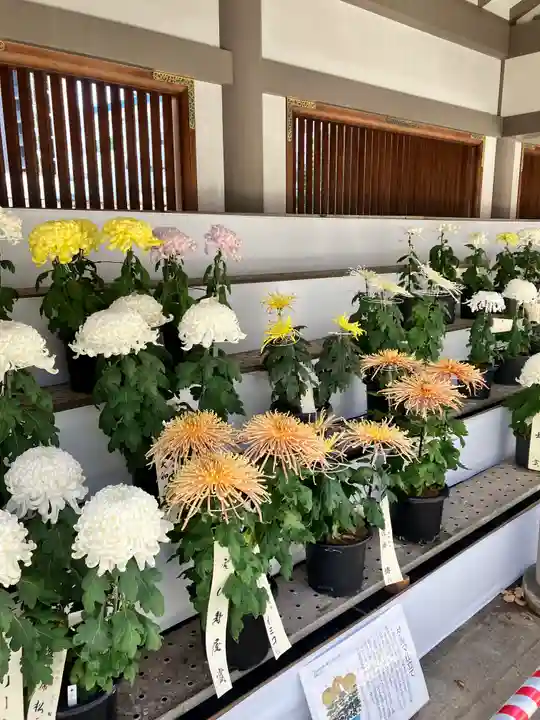 湯島天満宮(東京都)