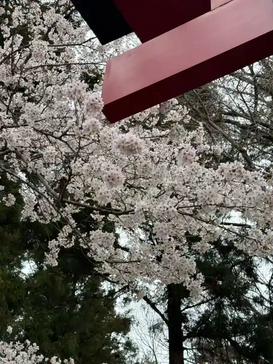 吾妻神社の{uncategorized: "未分類", other: "その他", undefined: "問題あり", building: "その他建物", grave: "お墓", sacred_gate: "鳥居", guardian: "狛犬", statue: "像", buddha: "仏像", history: "歴史", nature: "自然", garden: "庭園", animal: "動物", pagoda: "塔", temizu: "手水舎", mountain_gate: "山門・神門", sanctuary: "本殿・本堂", subordinate: "末社・摂社", art: "芸術", scenery: "景色", jizo: "地蔵", ema: "絵馬", goshuin: "御朱印", omikuji: "おみくじ", items: "授与品その他", amulet: "お守り", goshuincho: "御朱印帳", eats: "食事", festival: "お祭り", votive_dance: "神楽", shichigosan: "七五三参", wedding: "結婚式", experience: "体験その他", initially: "初詣", around: "周辺", anti_infection: "感染症対策"}