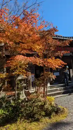 赤山禅院の自然