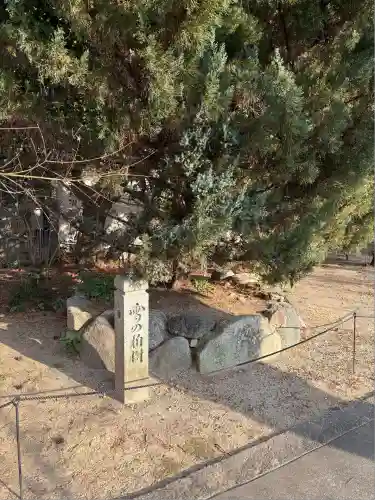 興聖寺(京都府)