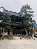 智恩寺の山門・神門