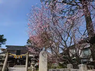 犀川神社の鳥居