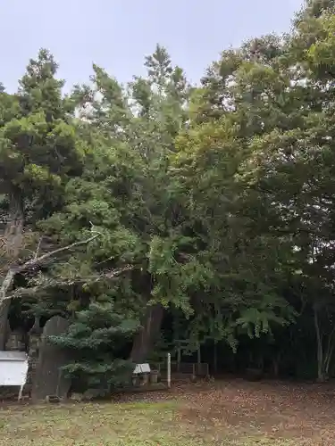 三熊野神社(茨城県)