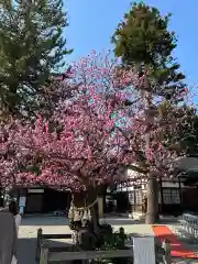 射水神社(富山県)