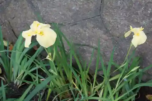 東海市熊野神社の手水舎