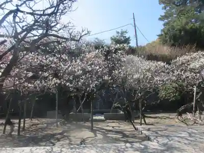 地福寺(神奈川県)