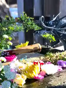 札幌護國神社の手水舎(2024年04月06日(土) 20時31分44秒投稿)