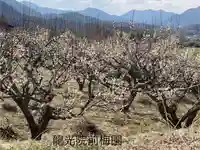 龍光院(長野県)