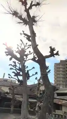 大将軍八大龍王(大阪府)