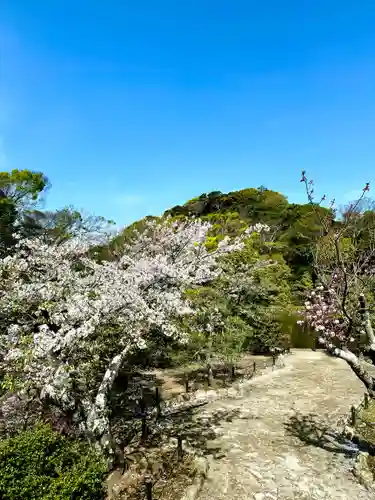 鶴岡八幡宮(神奈川県)