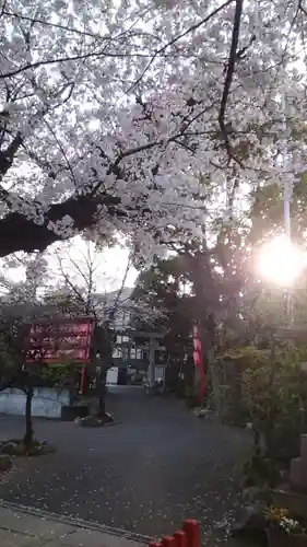 居木神社の御朱印