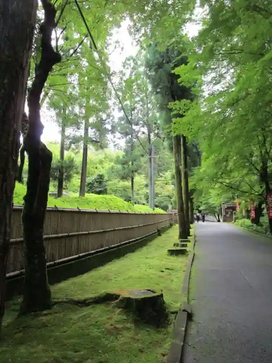 今熊野観音寺(京都府)