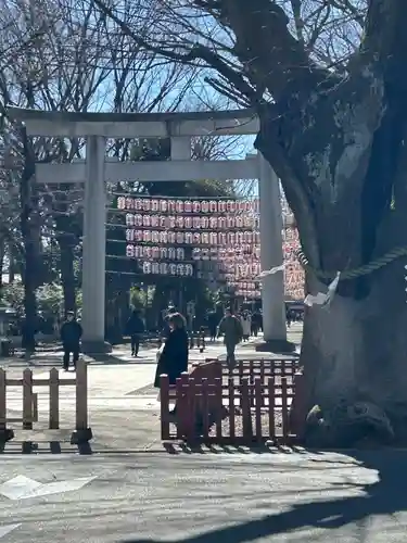 大國魂神社(東京都)