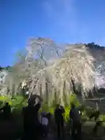 本佛寺別院 法華原の自然