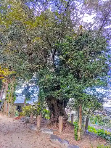 神明社（八反畑）の自然