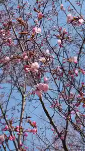 相馬神社(北海道)(2025年04月26日(土) 17時12分25秒投稿)