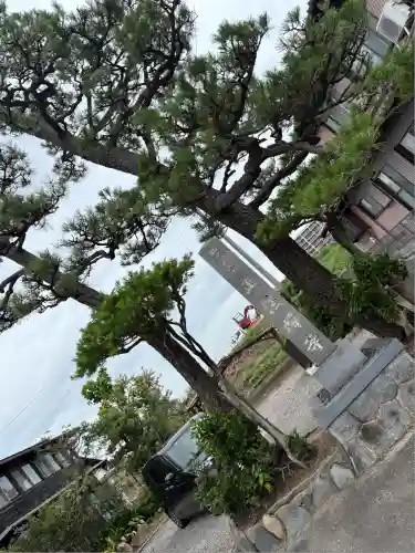 正法寺(愛知県)