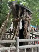 賀茂御祖神社(下鴨神社)の自然