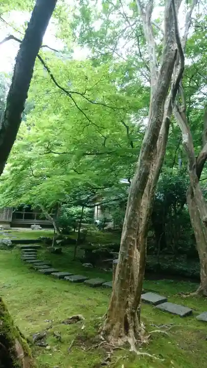 宗鏡寺の庭園