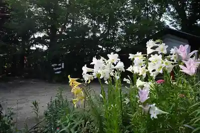 岡部春日神社～👹鬼門よけの🌺花咲く🌺やしろ～(福島県)