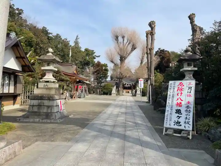 亀ケ池八幡宮のその他建物