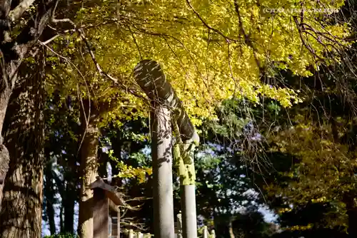 葛原岡神社の鳥居