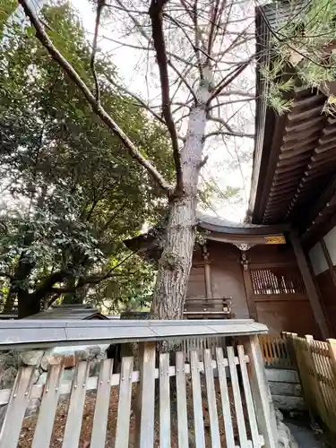 九頭竜大社(京都府)