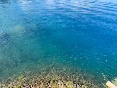 浮木神社の周辺