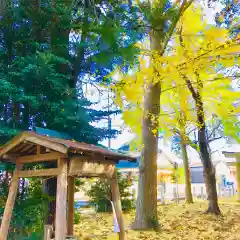 岡見八坂神社の手水