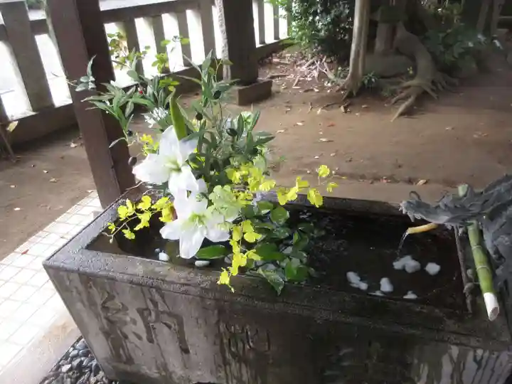 柏諏訪神社(千葉県)