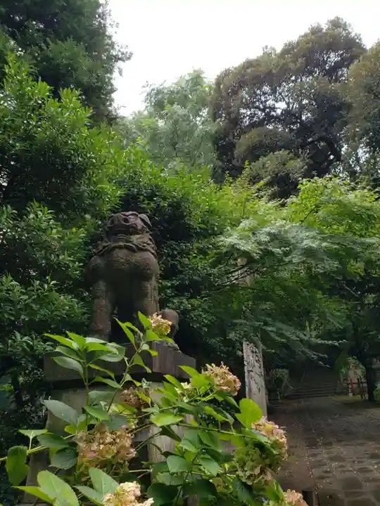 赤坂氷川神社(東京都)