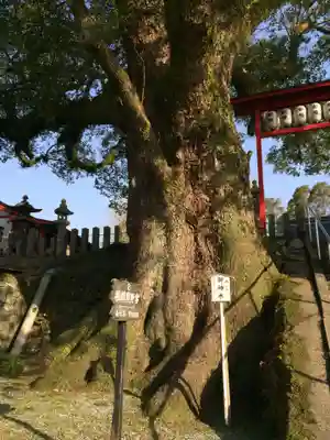 松橋神社(熊本県)