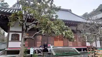 佛日庵の本殿・本堂