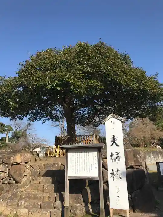八重垣神社のその他建物