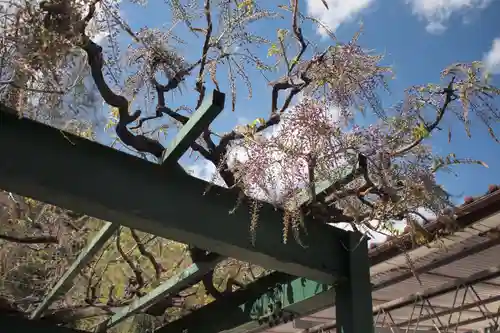 山梨岡神社の自然