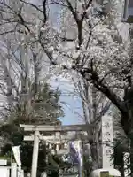 葛西神社の鳥居