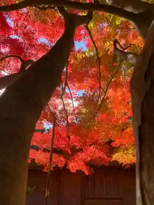 滑川神社 - 仕事と子どもの守り神(福島県)