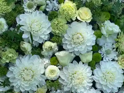 浄誓寺(大阪府)