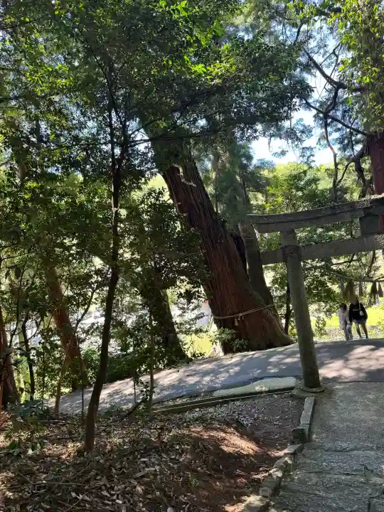 高岡神社の{uncategorized: "未分類", other: "その他", undefined: "問題あり", building: "その他建物", grave: "お墓", sacred_gate: "鳥居", guardian: "狛犬", statue: "像", buddha: "仏像", history: "歴史", nature: "自然", garden: "庭園", animal: "動物", pagoda: "塔", temizu: "手水舎", mountain_gate: "山門・神門", sanctuary: "本殿・本堂", subordinate: "末社・摂社", art: "芸術", scenery: "景色", jizo: "地蔵", ema: "絵馬", goshuin: "御朱印", omikuji: "おみくじ", items: "授与品その他", amulet: "お守り", goshuincho: "御朱印帳", eats: "食事", festival: "お祭り", votive_dance: "神楽", shichigosan: "七五三参", wedding: "結婚式", experience: "体験その他", initially: "初詣", around: "周辺", anti_infection: "感染症対策"}