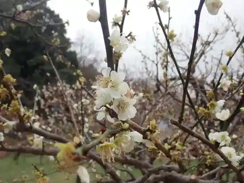 師岡熊野神社の御朱印