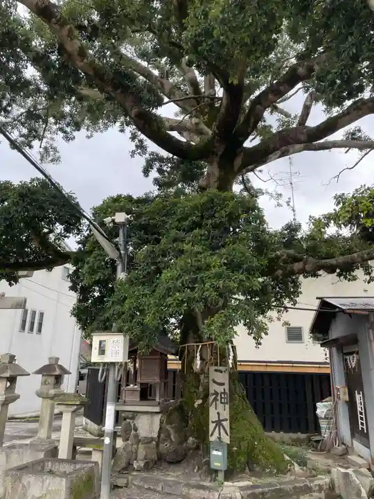 櫟谷七野神社(京都府)