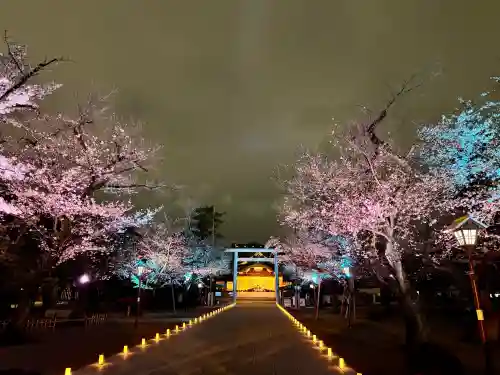 靖國神社の{uncategorized: "未分類", other: "その他", undefined: "問題あり", building: "その他建物", grave: "お墓", sacred_gate: "鳥居", guardian: "狛犬", statue: "像", buddha: "仏像", history: "歴史", nature: "自然", garden: "庭園", animal: "動物", pagoda: "塔", temizu: "手水舎", mountain_gate: "山門・神門", sanctuary: "本殿・本堂", subordinate: "末社・摂社", art: "芸術", scenery: "景色", jizo: "地蔵", ema: "絵馬", goshuin: "御朱印", omikuji: "おみくじ", items: "授与品その他", amulet: "お守り", goshuincho: "御朱印帳", eats: "食事", festival: "お祭り", votive_dance: "神楽", shichigosan: "七五三参", wedding: "結婚式", experience: "体験その他", initially: "初詣", around: "周辺", anti_infection: "感染症対策"}